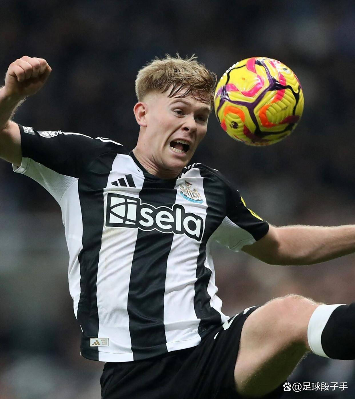 今晚突围战来临；纽卡斯尔围绕亚冠防线松动；媒体盛赞；年轻球员得到机会的简单介绍
